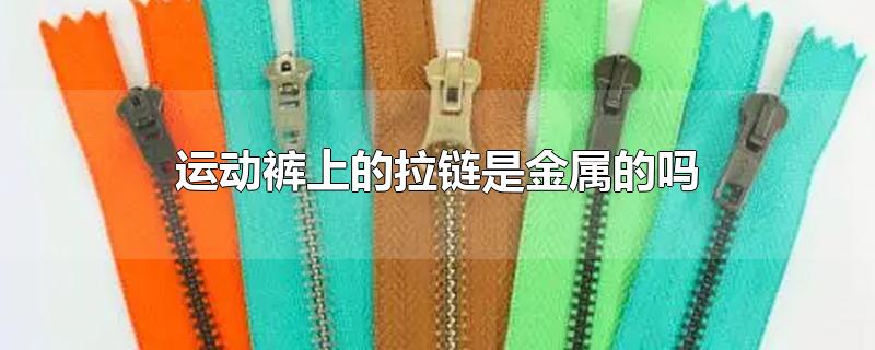 运动裤上的拉链是金属的吗