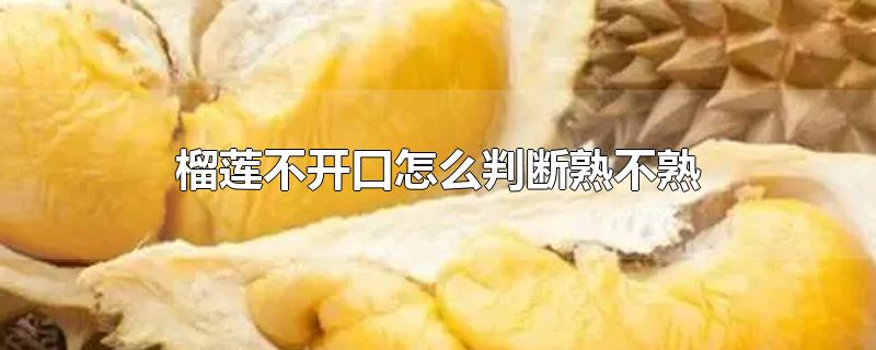 榴莲不开口怎么判断熟不熟