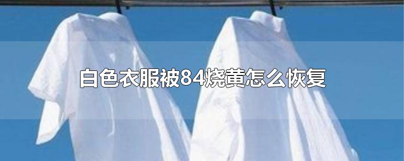 白色衣服被84烧黄怎么恢复