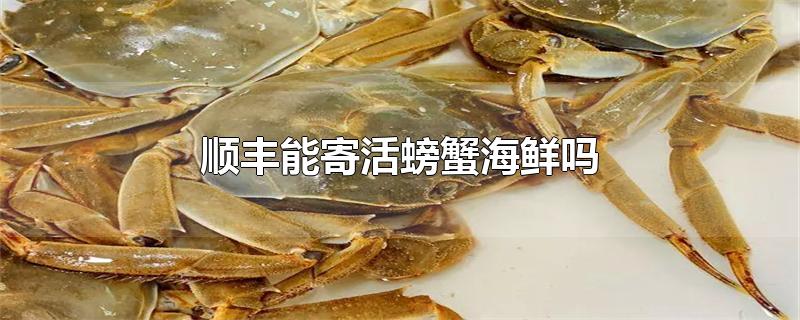 顺丰能寄活螃蟹海鲜吗