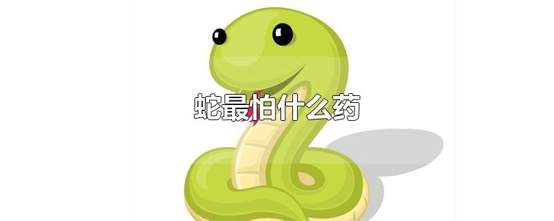蛇最怕什么药