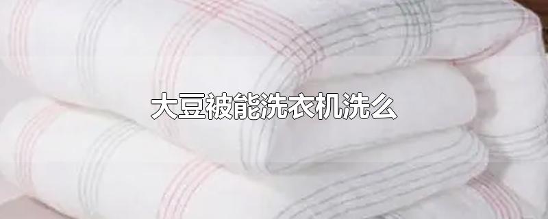 大豆被能洗衣机洗么