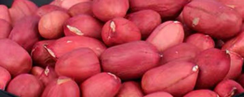 红皮花生米和白皮花生米的区别