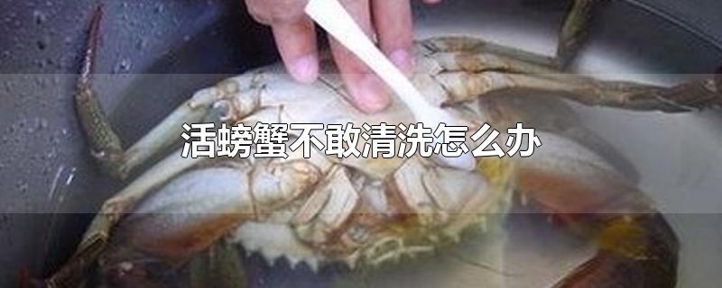 活螃蟹不敢清洗怎么办