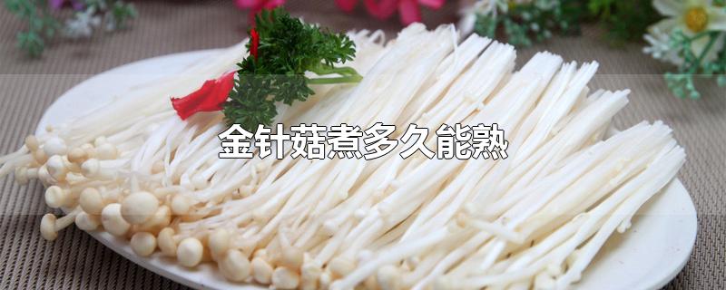 金针菇煮多久能熟