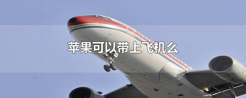 苹果可以带上飞机么