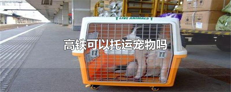高铁可以托运宠物吗