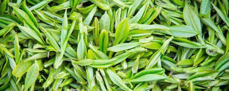 铜仁产什么茶叶