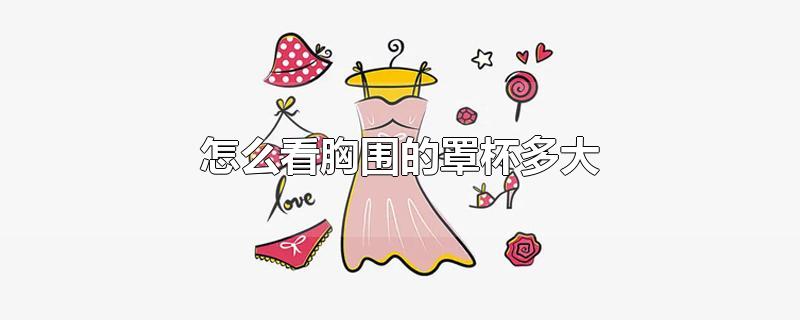 怎么看胸围的罩杯多大