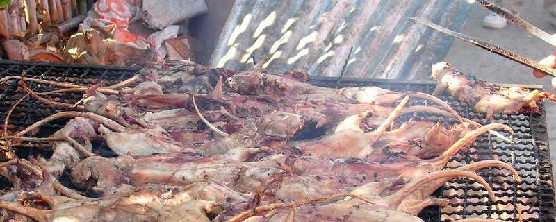 烤老鼠是哪里的特产