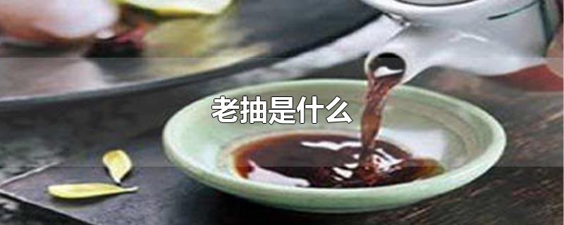 老抽是什么