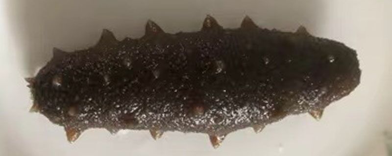 海参粥有点腥怎么处理