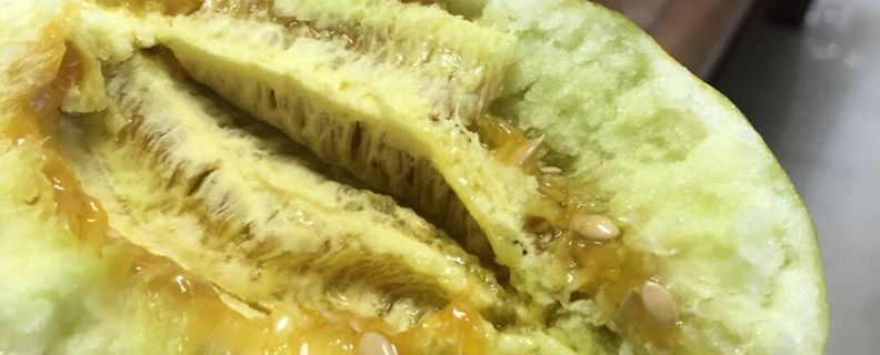 酥瓜和羊角蜜一样吗