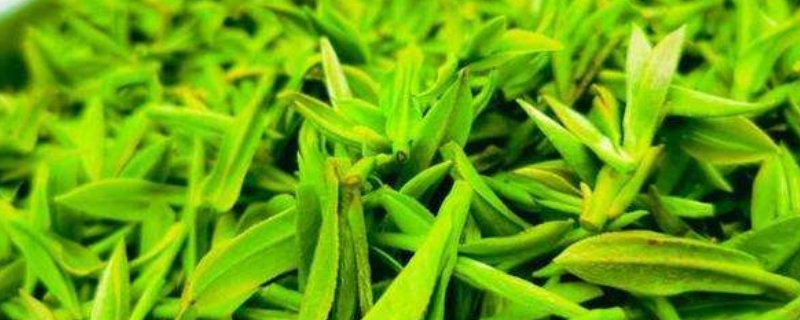 重庆出产什么茶叶