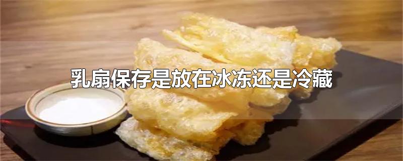 乳扇保存是放在冰冻还是冷藏