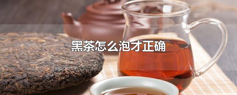 黑茶怎么泡才正确