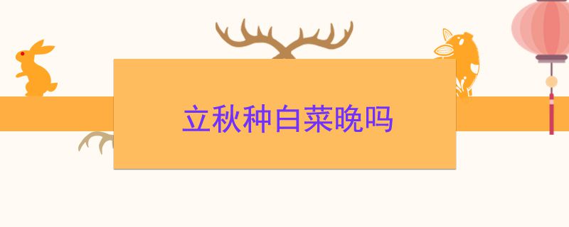 立秋种白菜晚吗