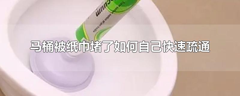 马桶被纸巾堵了如何自己快速疏通