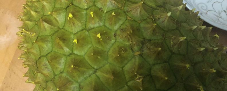 榴莲的内瓤可以吃吗