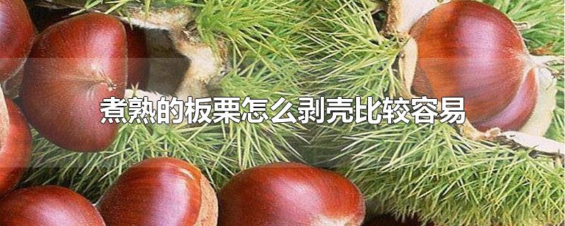 煮熟的板栗怎么剥壳比较容易