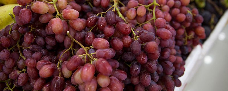 提子吃起来很涩怎么办