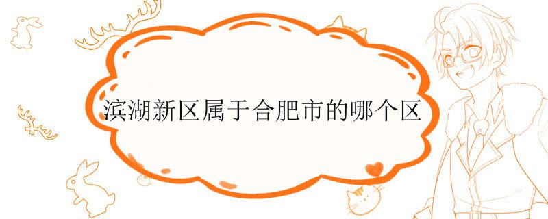 滨湖新区属于合肥市的哪个区