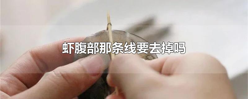 虾腹部那条线要去掉吗