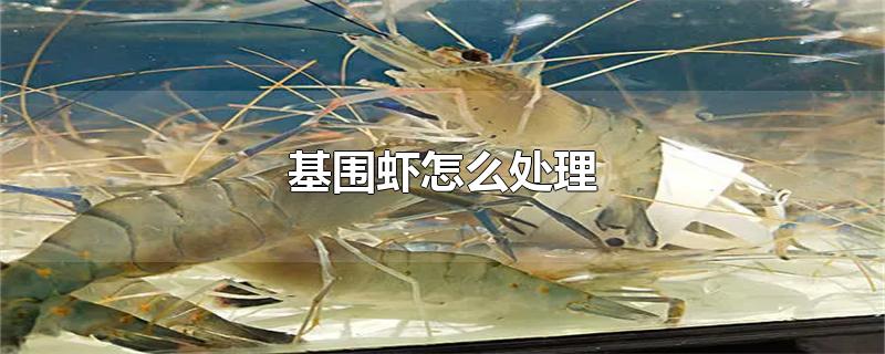 基围虾怎么处理