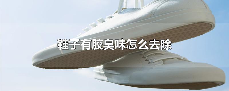 鞋子有胶臭味怎么去除