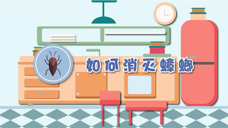 如何消灭蟑螂