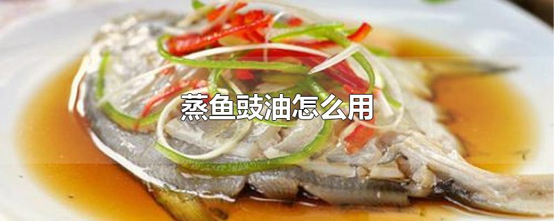 蒸鱼豉油怎么用