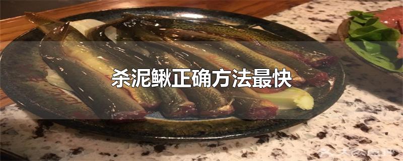 杀泥鳅正确方法最快