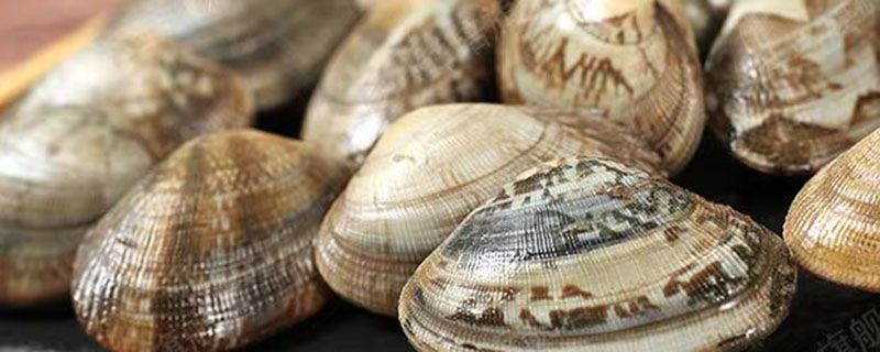 花甲跟美贝的区别