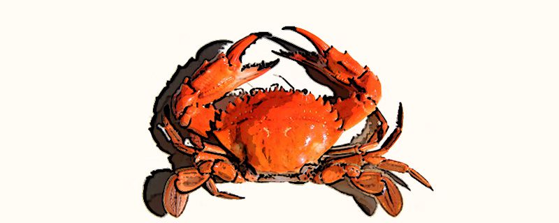 螃蟹拿回来怎么保存不会死