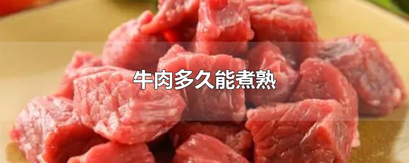 牛肉多久能煮熟
