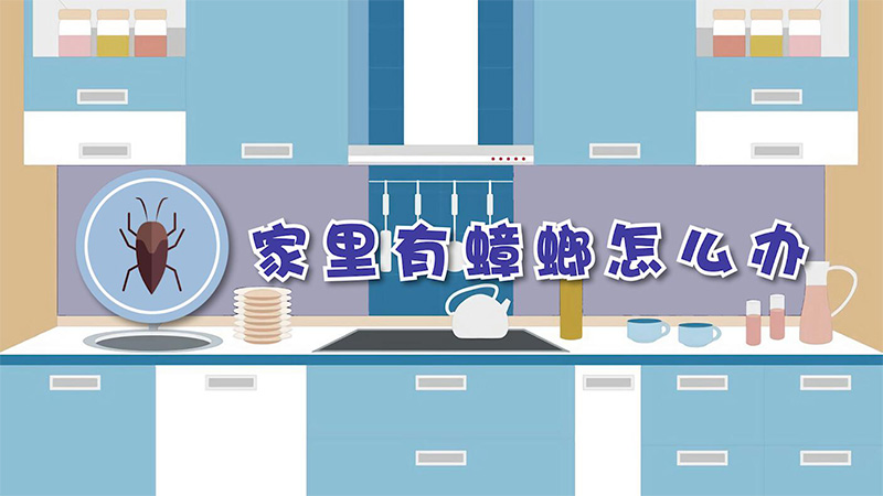 家里有蟑螂怎么办