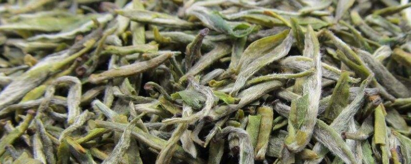 白色茶叶什么茶