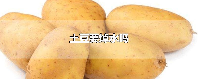 土豆要焯水吗