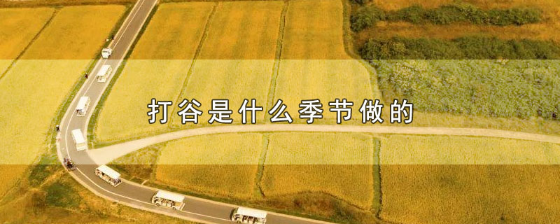 打谷是什么季节做的