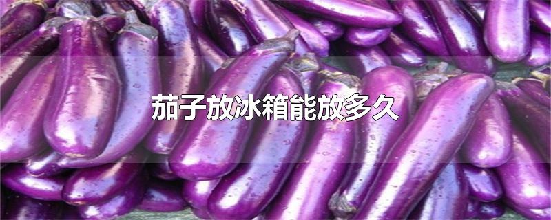 茄子放冰箱能放多久