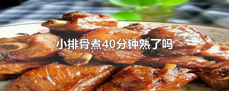 小排骨煮40分钟熟了吗
