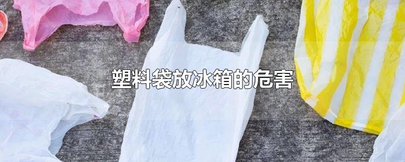 塑料袋放冰箱的危害