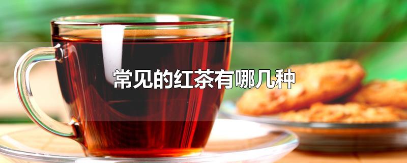 常见的红茶有哪几种