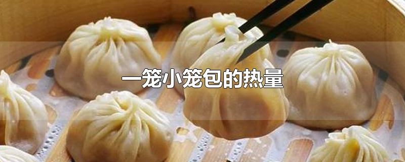 一笼小笼包的热量