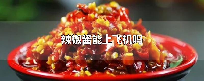 辣椒酱能上飞机吗