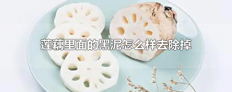 莲藕里面的黑泥怎么样去除掉