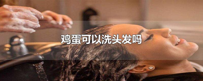 鸡蛋可以洗头发吗