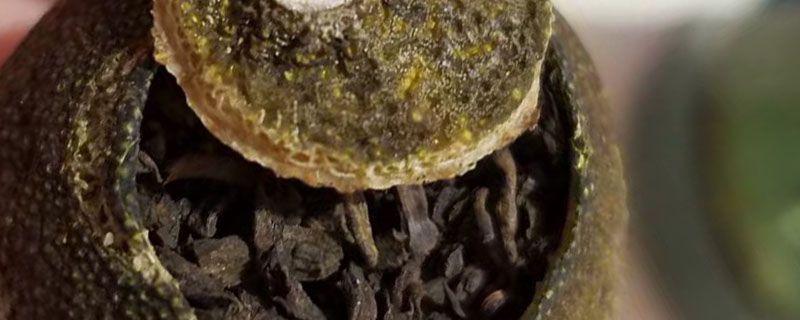 铁观音是红茶还是绿茶