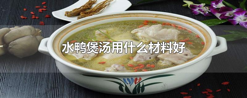水鸭煲汤用什么材料好