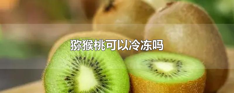 猕猴桃可以冷冻吗